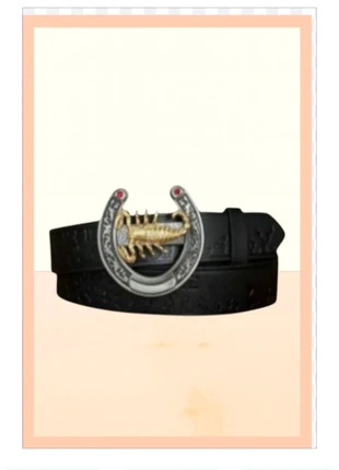 Ceinture mode, état: Très bon état, taille: Ajustable, 13,00 €, 14,35 € Protection acheteurs (Pro) incluse