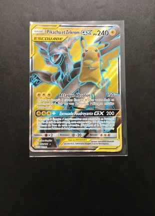 Pikachu et Zekrom, état: Satisfaisant, 35,00 €, 37,45 € Protection acheteurs (Pro) incluse