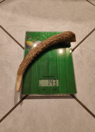 Bois de cerf pour chien 143g, état: Neuf avec étiquette, 12,00 €, 13,30 € Protection acheteurs incluse