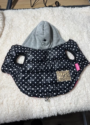 Manteau doudoune petit chien, marca: Tian Chong, estado: Muito bom, tamanho: XS, €6.00, €7.00 inclui Proteção do Comprador