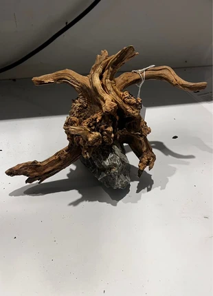 Racine riverwood colle sur pierre Scenery stone, marque: Pierre, état: Neuf sans étiquette, 20,00 €, 21,70 € Protection acheteurs (Pro) incluse