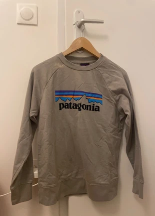 Pull Patagonie, marque: Patagonia, état: Bon état, taille: L / 40 / 12, 20,00 €, 21,70 € Protection acheteurs incluse