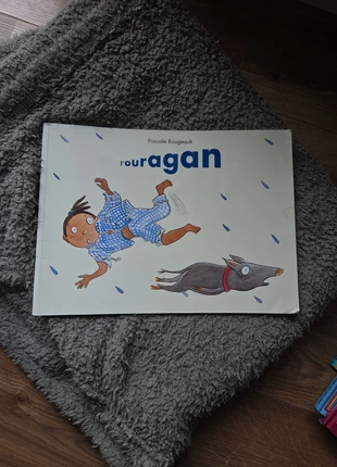 Livre l’ouragan, état: Bon état, 2,00 €, 2,80 € Protection acheteurs incluse