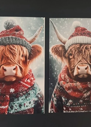 SALE! Set van 2 dubbele wenskaarten 'Hooglanders' inclusief enveloppen, staat: Nieuw met prijskaartje, € 1,00, € 1,75 inclusief Kopersbescherming