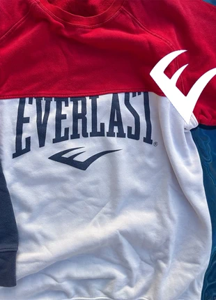 Felpa everlast xxl colorata, merk: Everlast, staat: Heel goed, maat: XXL, € 12,00, € 13,30 inclusief Kopersbescherming