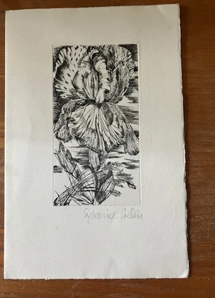 Vide-atelier Iris Encre sur papier Velin, sur carte, marque: De, état: Neuf avec étiquette, 8,00 €, 9,10 € Protection acheteurs incluse