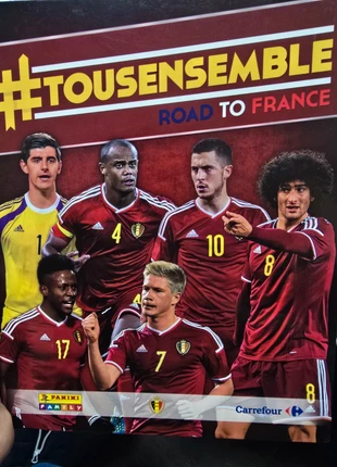 Diable rouge Tous ensemble road to France édition panini family carrefour, condizioni: Nuovo senza cartellino, €15.00, €16.45 include la Protezione acquisti