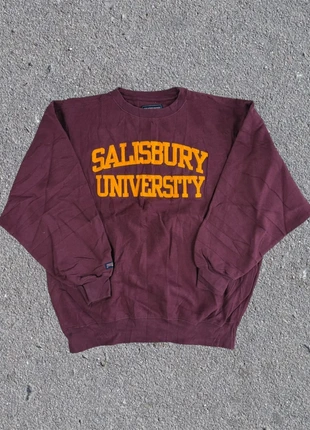 Sweat universitaire usa bordeaux taille L, merk: JanSport, staat: Heel goed, maat: L, € 14,90, € 16,35 inclusief Kopersbescherming Pro