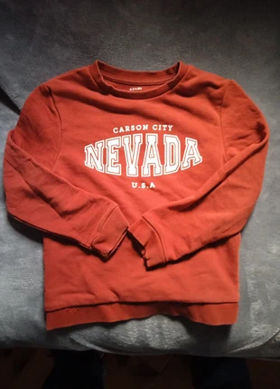 Sweat garçon couleur rouille, marque: Kiabi, état: Très bon état, taille: 5 ans / 110 cm, 2,00 €, 2,80 € Protection acheteurs incluse