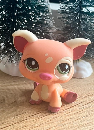 LPS #1595 Pig orange, merk: Littlest Pet Shop, staat: Heel goed, maat: Universeel, € 5,00, € 5,95 inclusief Kopersbescherming
