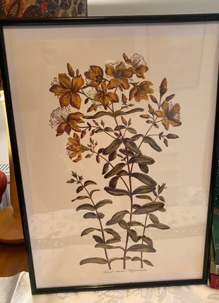 Large Black Frame Vintage Botanical Chinese St John, brand: Vintage Botanical, condition: New with tags, £12.50, £13.83 includes Buyer Protection