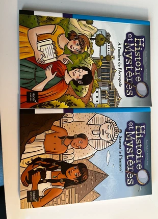 Roman poche, histoire et mystère, état: Neuf sans étiquette, 5,00 €, 5,95 € Protection acheteurs incluse