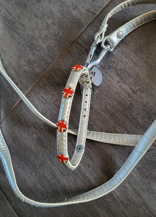 Collier + laisse pour un petit chien, condition: Very good, size: S, €6.00, €7.00 includes Buyer Protection