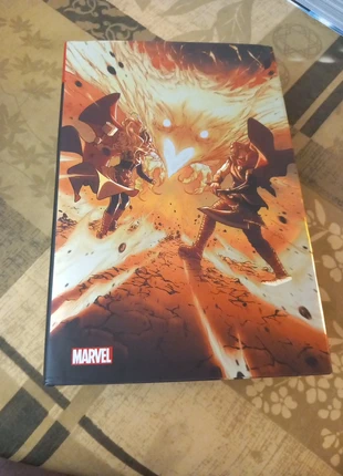 Omnibus Thor déesse du tonnerre, état: Très bon état, 70,00 €, 74,20 € Protection acheteurs incluse