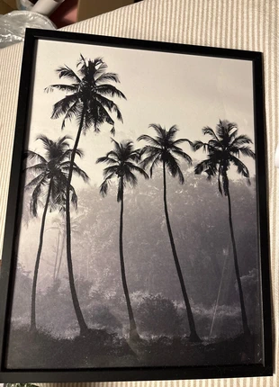 Palm tree picture inside of black photo frame, marque: Jysk, état: Neuf sans étiquette, 10,00 €, 11,20 € Protection acheteurs incluse