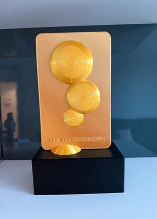 Trofeo Champion de France Ligue 2, marque: Local, état: Très bon état, 25,00 €, 26,95 € Protection acheteurs incluse