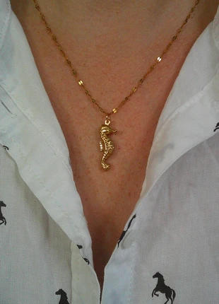 Hippocampe 🌟 animaux marins 🌟 collier acier inoxydable réglable ajustable, marke: acier inoxydable, zustand: Sehr gut, 8,00 €, 9,10 € beinhaltet Vinted-Käuferschutz Pro