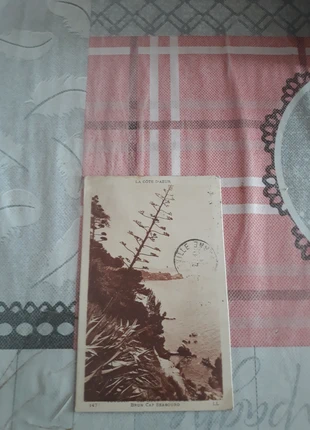 Carte postale ancienne Côte d’Azur Brun Cap Seabound Collection vintage mer, état: Bon état, 4,99 €, 5,94 € Protection acheteurs incluse