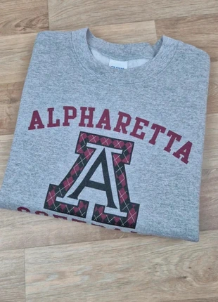 Sweat universitaire gris Alpharetta Softball vintage homme – Taille S, marke: Gildan, zustand: Gut, größe: S, 15,00 €, 16,45 € inklusive Vinted-Käuferschutz