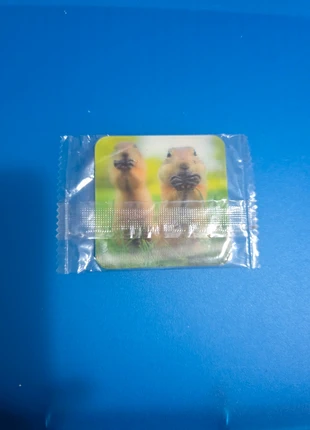 Card lenticolari Comedy Wild Life, marque: Salati Preziosi, état: Neuf avec étiquette, 1,00 €, 1,75 € Protection acheteurs incluse