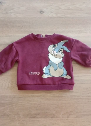 Sweat Panpan 6 mois - très bon état, brand: Disney, condition: Very good, size: 6-9 months / 68 cm, €3.00, €3.85 includes Buyer Protection