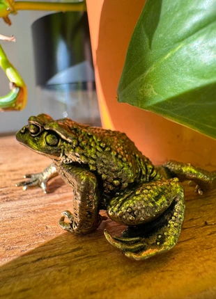 Lucky Frog Brass Golden Toad Figurine, brand: Frog, condition: New without tags, £5.80, £6.79 includes Buyer Protection Pro