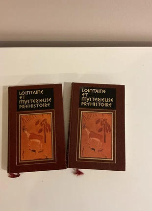 Lointaine et mystérieuse Préhistoire d’Oswaldo Ferrero, zustand: Sehr gut, 9,90 €, 11,10 € inklusive Vinted-Käuferschutz