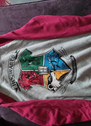Harry Potter trui HP hoody, merk: Harry Potter, staat: Goed, maat: 12 jaar / 152 cm, € 4,00, € 4,90 inclusief Kopersbescherming