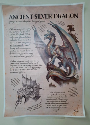 Affiche fantasy Ancient Silver Dragon – Style bestiaire ancien, marca: donjon et dragon, estado: Muito bom, €6.90, €7.95 inclui Proteção do Comprador