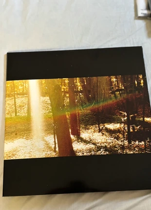 Vinyle Camp – Childish Gambino (État Neuf), état: Neuf avec étiquette, 30,00 €, 32,20 € Protection acheteurs incluse