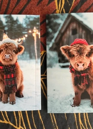 SALE! Set van 2 dubbele wenskaarten 'Hooglanders' inclusief enveloppen, staat: Nieuw met prijskaartje, € 1,00, € 1,75 inclusief Kopersbescherming