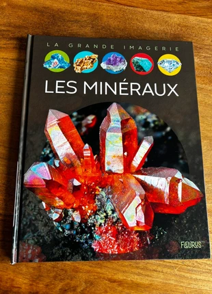 Livre les minéraux, état: Bon état, 2,00 €, 2,80 € Protection acheteurs incluse