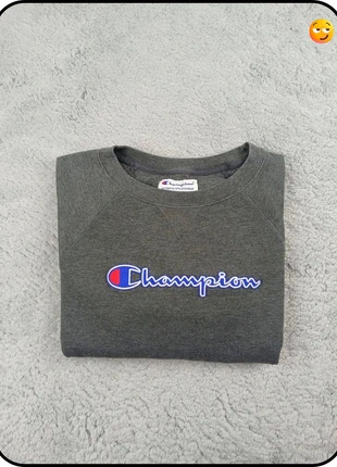 Pull / sweat Hoodies Champion Gris Taille S - Homme, marca: Champion, estado: Muy bueno, tamaño: S, 14,90 €, 16,35 € Protección al comprador Pro incluida