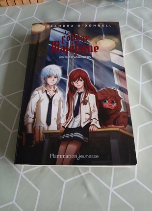 Livre roman Le collège maléfique tome 2, staat: Nieuw met prijskaartje, € 5,00, € 5,95 inclusief Kopersbescherming