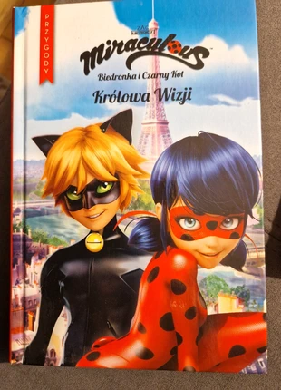 Polish books Biedronka i czarny kot, condition: Very good, €5.00, €5.95 includes Buyer Protection