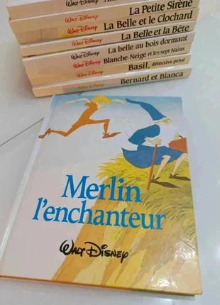 Livre Walt Disney Merlin l'enchanteur, staat: Heel goed, € 4,00, € 4,90 inclusief Kopersbescherming