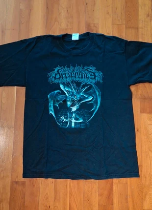 Maglia Insidious Decrepancy, marke: Gildan, zustand: Sehr gut, größe: L, 15,00 €, 16,45 € inklusive Vinted-Käuferschutz