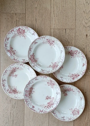 Assiettes anciennes Terre de fer Hippolyte Boulenger modèle Floréal, marque: Terre De Fer, état: Très bon état, 58,00 €, 61,60 € Protection acheteurs incluse