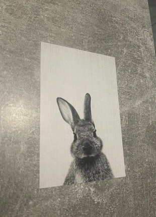 Affiche 10x15 lapin – Neuf, marke: Maison, zustand: Neu, 1,50 €, 2,28 € beinhaltet Vinted-Käuferschutz Pro