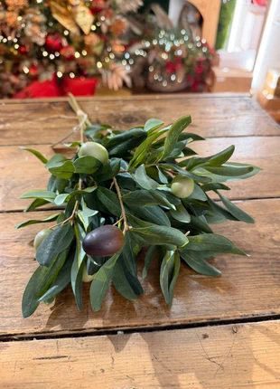 Rami di ulivo - pianta artificiale - EDG Enzo De Gasperi, marque: EDG, état: Neuf avec étiquette, 25,00 €, 26,95 € Protection acheteurs incluse