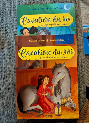 Lot romans les cavalières du roi, état: Très bon état, 5,00 €, 5,95 € Protection acheteurs incluse