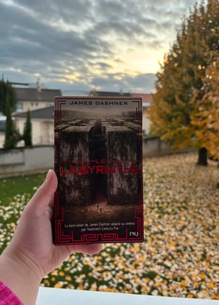 Labyrinthe | Format poche, état: Très bon état, 4,99 €, 5,94 € Protection acheteurs incluse