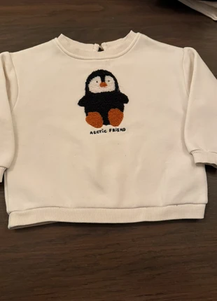 Jongens trui, marque: Zara, état: Bon état, taille: 12-18 mois / 80 cm, 3,00 €, 3,85 € Protection acheteurs incluse