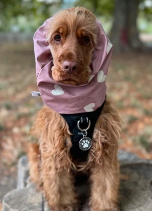 Snood imperméable ciré Cockers, condition: Very good, size: M, €13.00, €14.35 includes Buyer Protection Pro