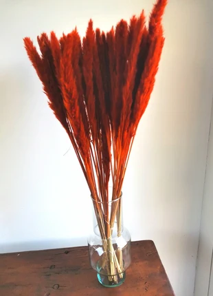 Lot de 10 pampas terracotta, marque: Terracotta, état: Très bon état, 8,00 €, 9,10 € Protection acheteurs incluse