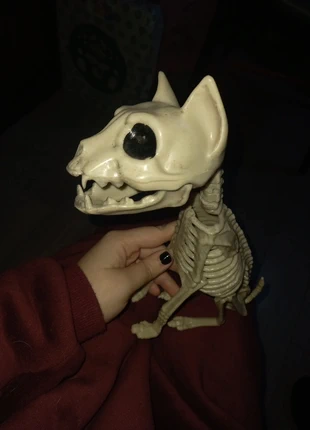 decorazione scheletro gatto, brand: Lolita, condizioni: Nuovo senza cartellino, €5.00, €5.95 include la Protezione acquisti