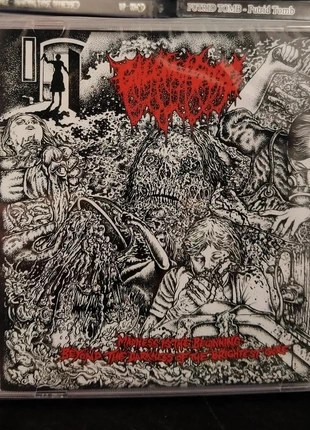 Golem Of Gore "Madness Is The Beginning: Beyond The Darkness Of The Brightest Gore" CD (DTSR 040), condizioni: Nuovo con cartellino, €10.00, €11.20 include la Protezione acquisti