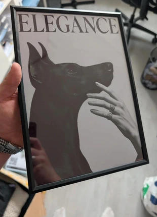 Elegance (Hond) Ingelijste Poster, brand: Elégance, condizioni: Ottime, €12.50, €13.83 include la Protezione acquisti Pro