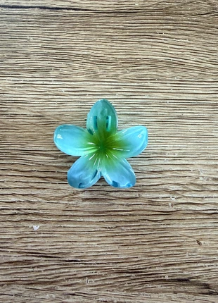 Pince a cheveux neuve, état: Neuf avec étiquette, 1,00 €, 1,75 € Protection acheteurs incluse