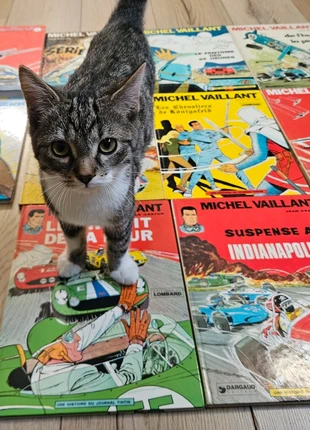 Michel Vaillant - Lot de 10 BD, estado: Muy bueno, 60,00 €, 63,70 € Protección al comprador incluida